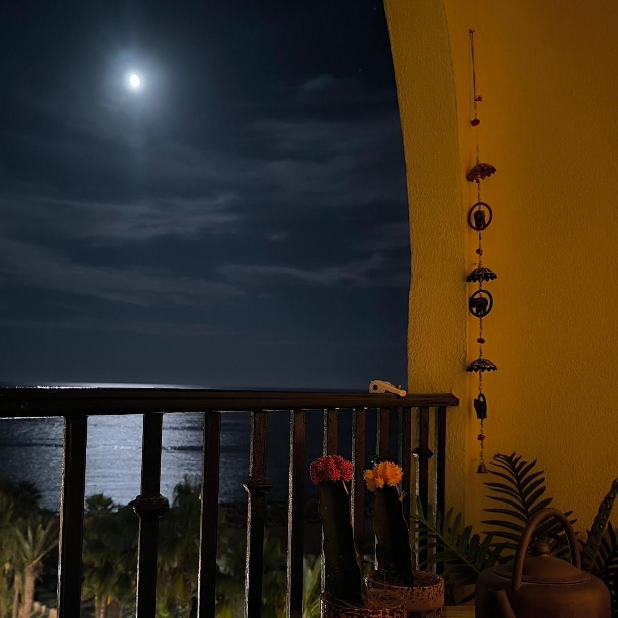 Apartamento Tropicana 1° Linea Almuñécar Eksteriør bilde